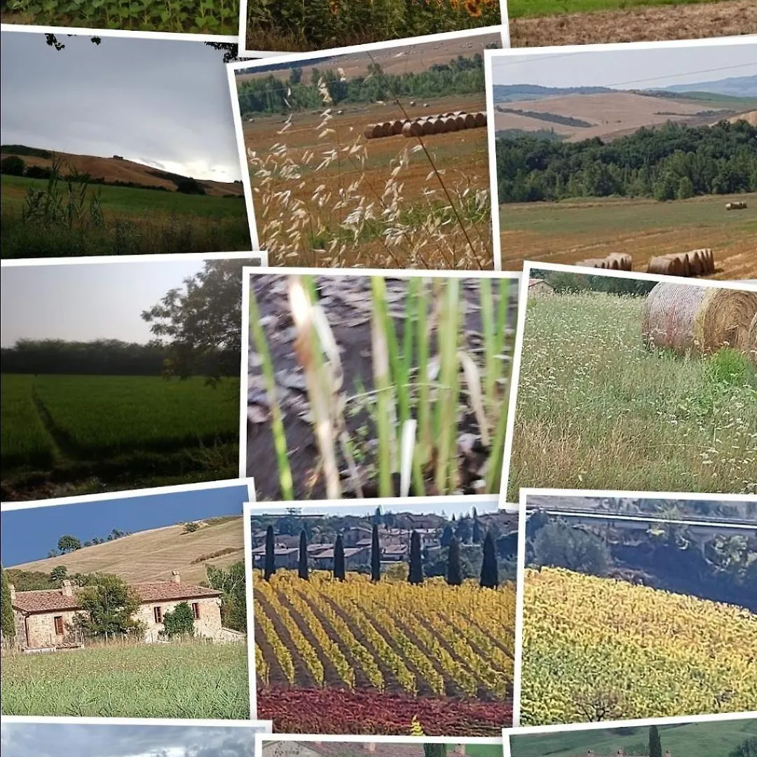 Apartament Molino Della Tuoma San Quirico dʼOrcia 0*,  Włochy